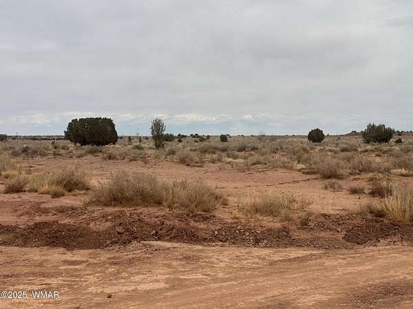 27.2 Acres of Recreational Land for Sale in Snowflake, Arizona