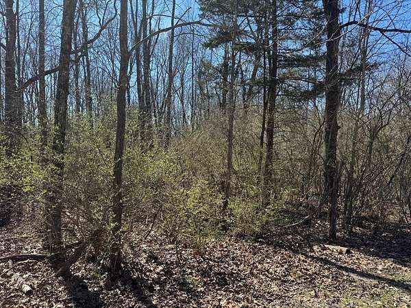 Mixed-Use Land for Sale in Crossville, Tennessee