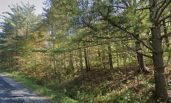 29.1 Acres of Land for Sale in Shandaken, New York