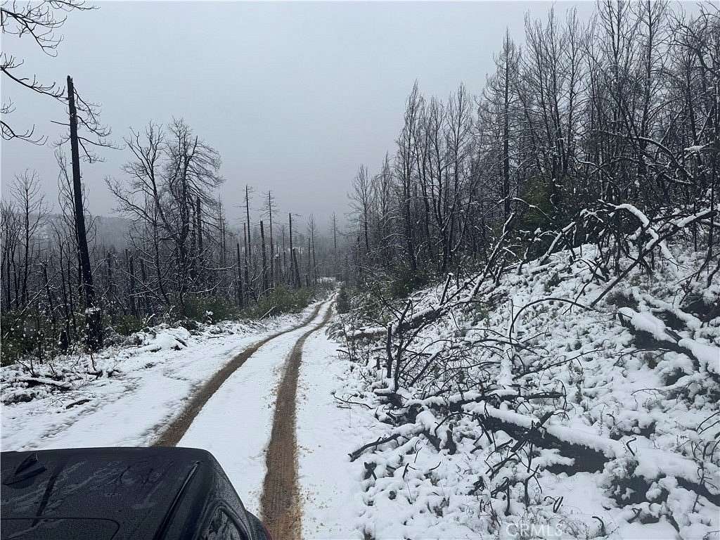 7.83 Acres of Residential Land for Sale in Berry Creek, California