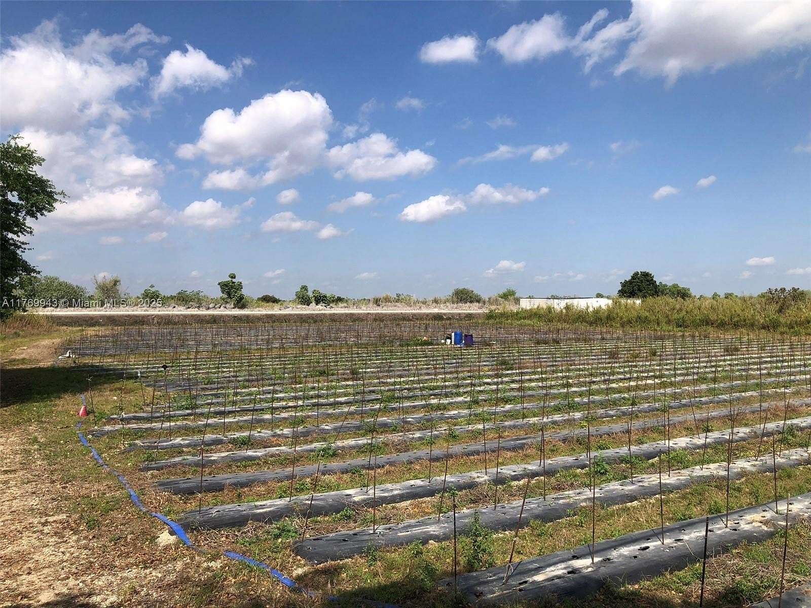 1.25 Acres of Residential Land for Sale in Miami, Florida