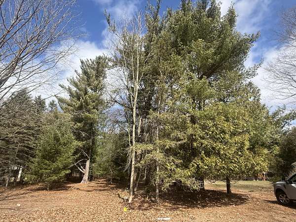 0.91 Acres of Residential Land for Sale in Pentwater, Michigan