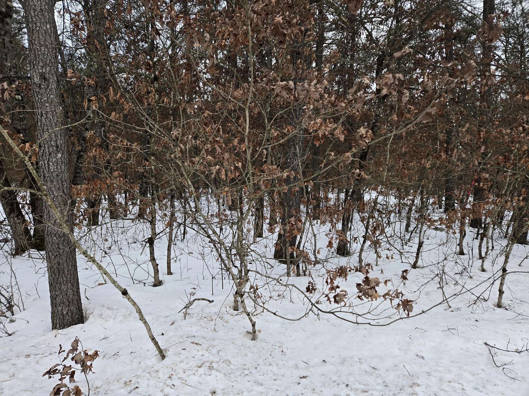 0.22 Acres of Land for Sale in Idlewild, Michigan