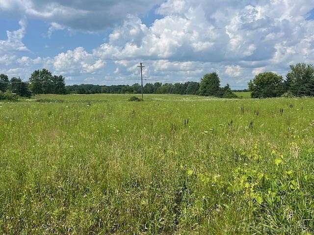 10 Acres of Land for Sale in Almont, Michigan