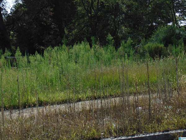 0.26 Acres of Commercial Land for Sale in Birmingham, Alabama