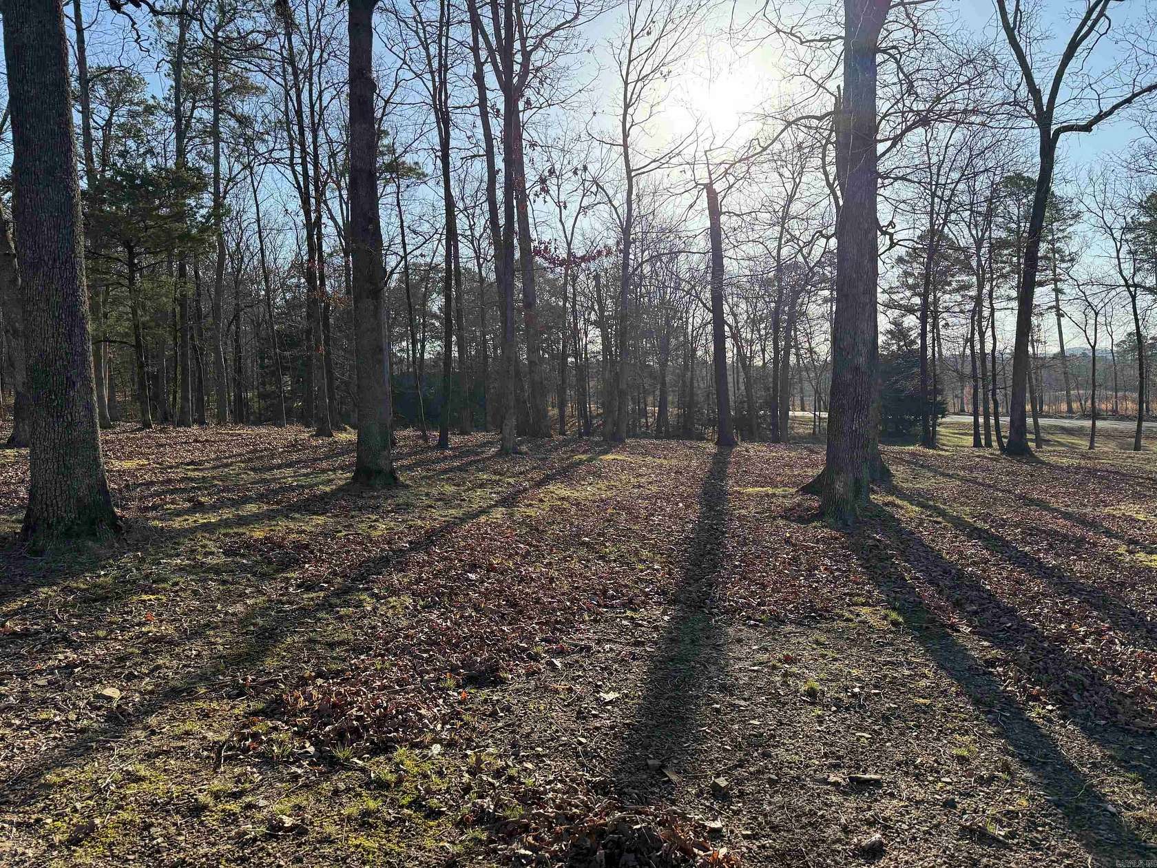 3.3 Acres of Residential Land for Sale in Mena, Arkansas