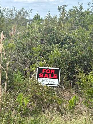 0.5 Acres of Residential Land for Sale in Lake Wales, Florida