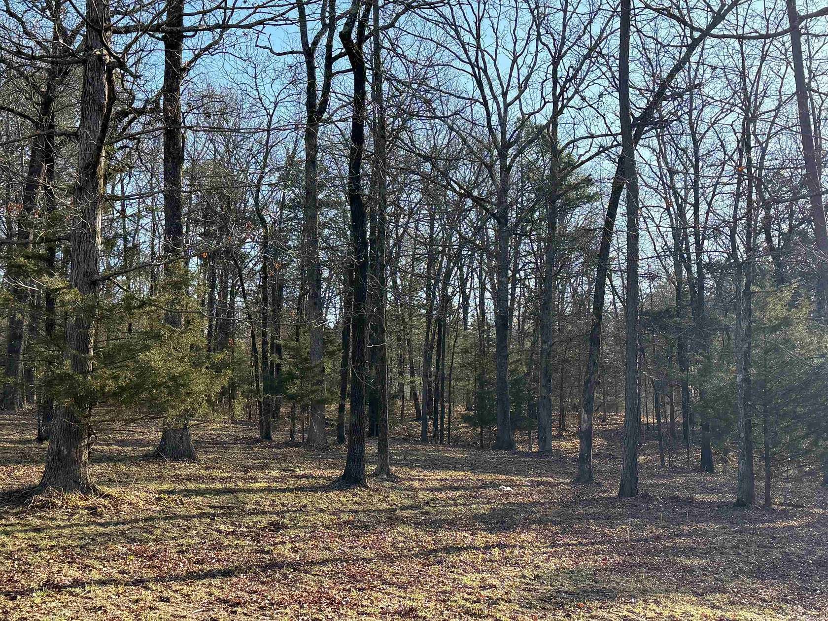 1.79 Acres of Residential Land for Sale in Mena, Arkansas