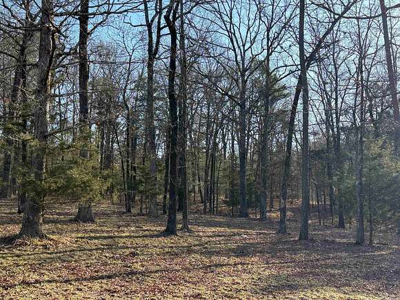 1.79 Acres of Residential Land for Sale in Mena, Arkansas