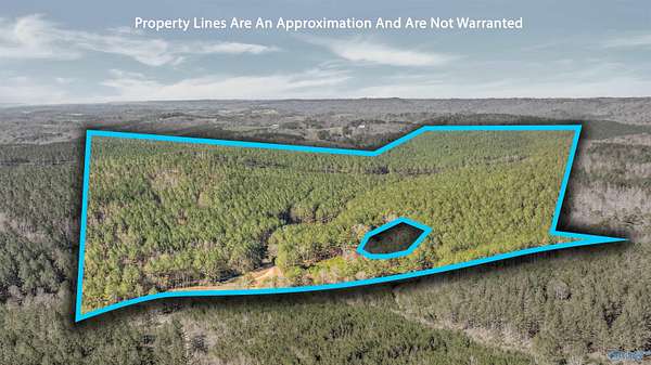 203 Acres of Land with Home for Sale in Collinsville, Alabama