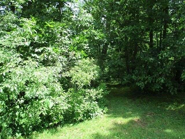 0.34 Acres of Residential Land for Sale in Lake Summerset, Illinois