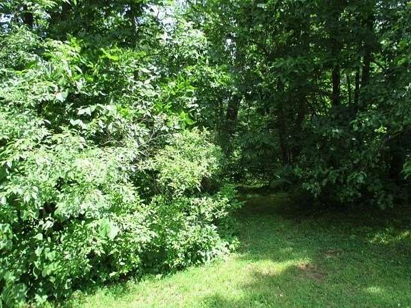 0.34 Acres of Residential Land for Sale in Lake Summerset, Illinois