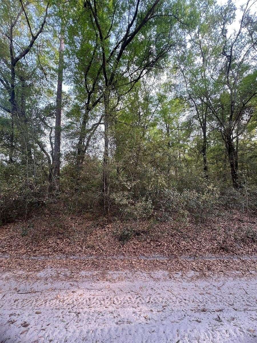 1.25 Acres of Residential Land for Sale in Dunnellon, Florida