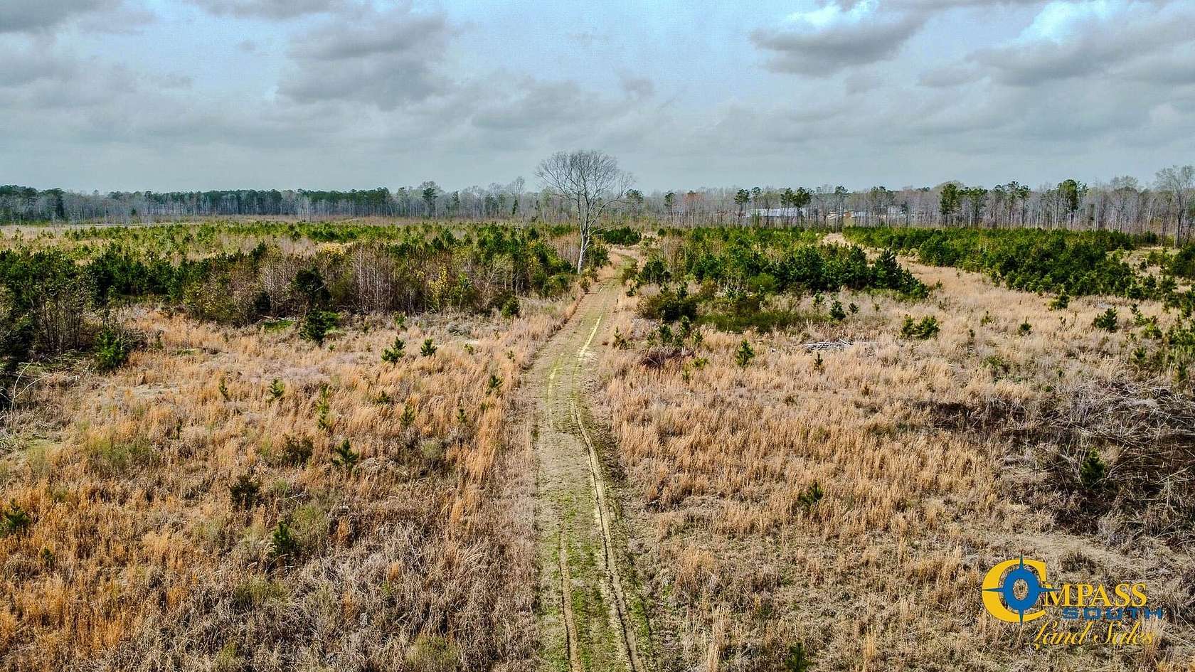 137 Acres of Recreational Land for Sale in Denmark, South Carolina