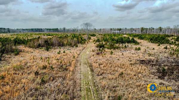 137 Acres of Recreational Land for Sale in Denmark, South Carolina