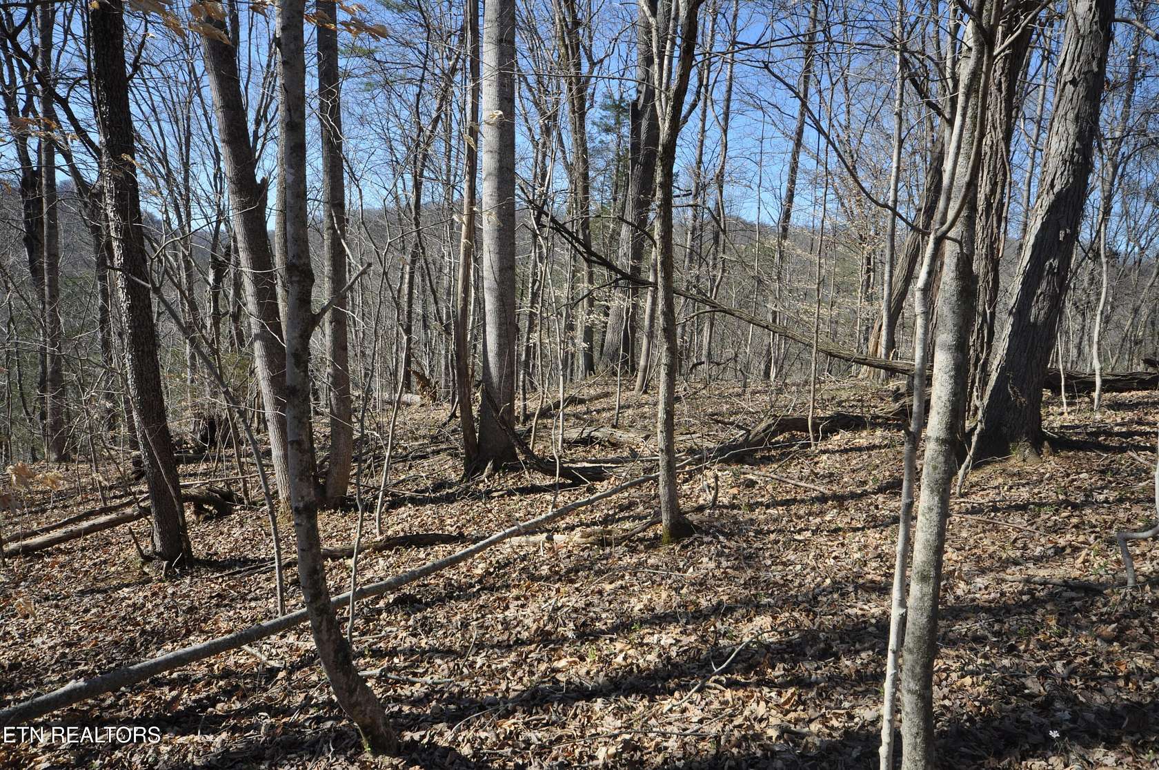 10 Acres of Recreational Land for Sale in Luttrell, Tennessee