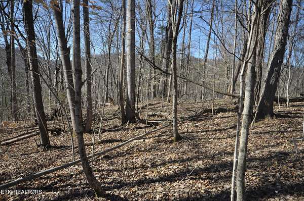 10 Acres of Recreational Land for Sale in Luttrell, Tennessee