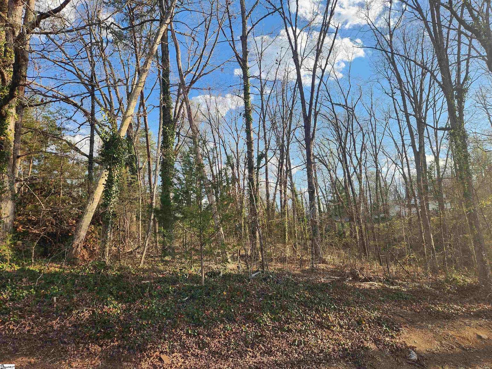 0.68 Acres of Residential Land for Sale in Easley, South Carolina