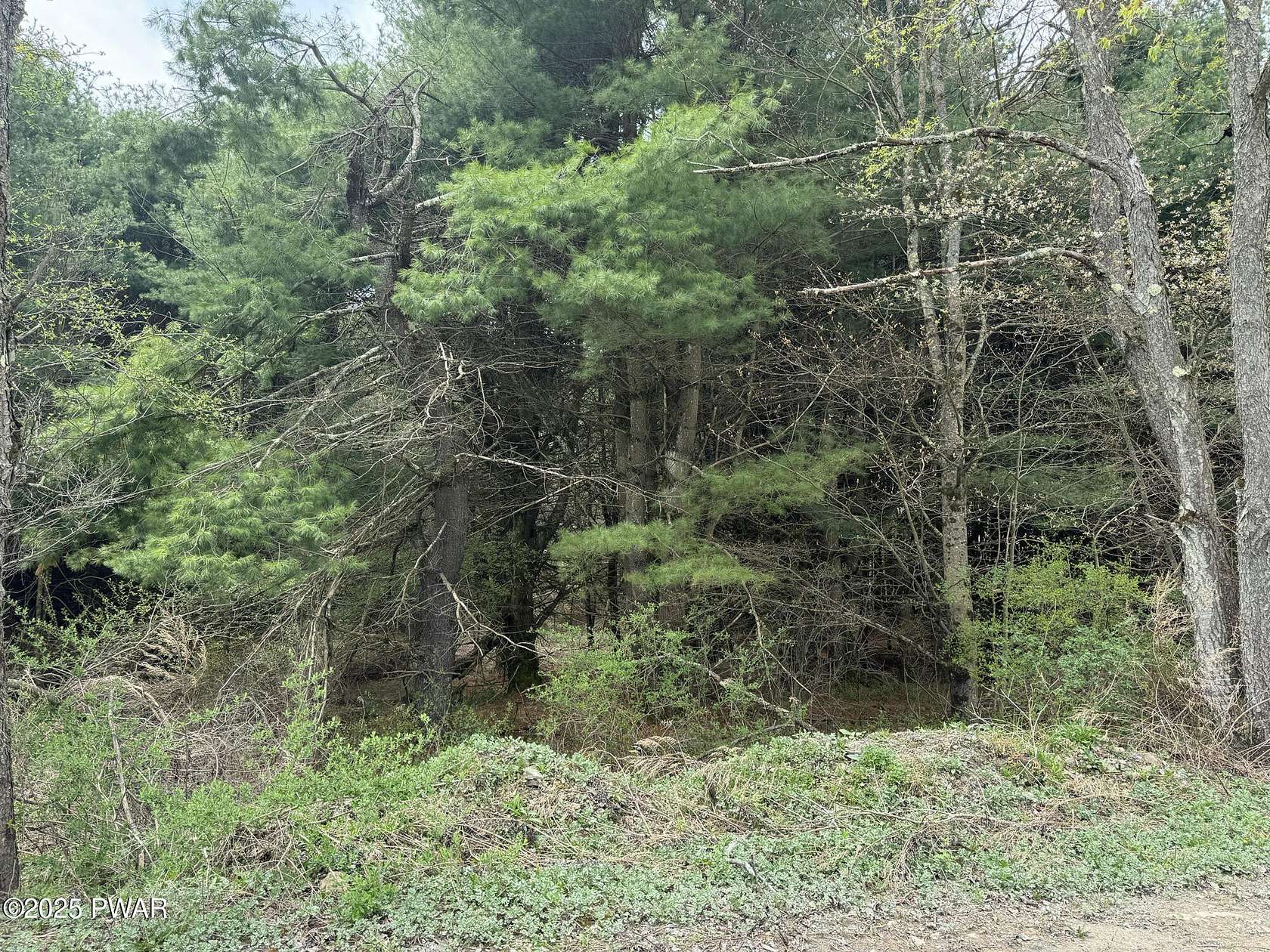 97 Acres of Recreational & Residential Land for Sale in Starrucca, Pennsylvania