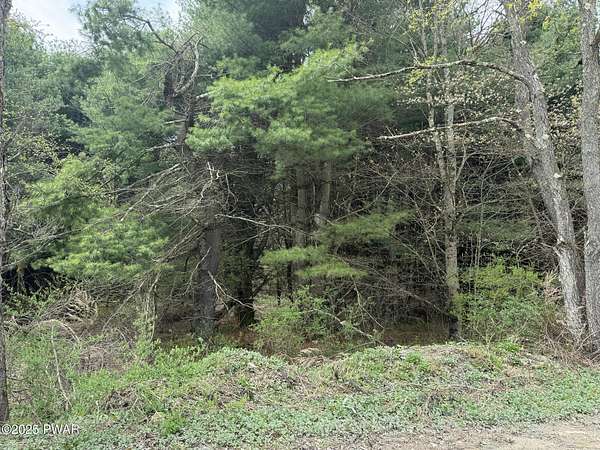 97 Acres of Recreational & Residential Land for Sale in Starrucca, Pennsylvania