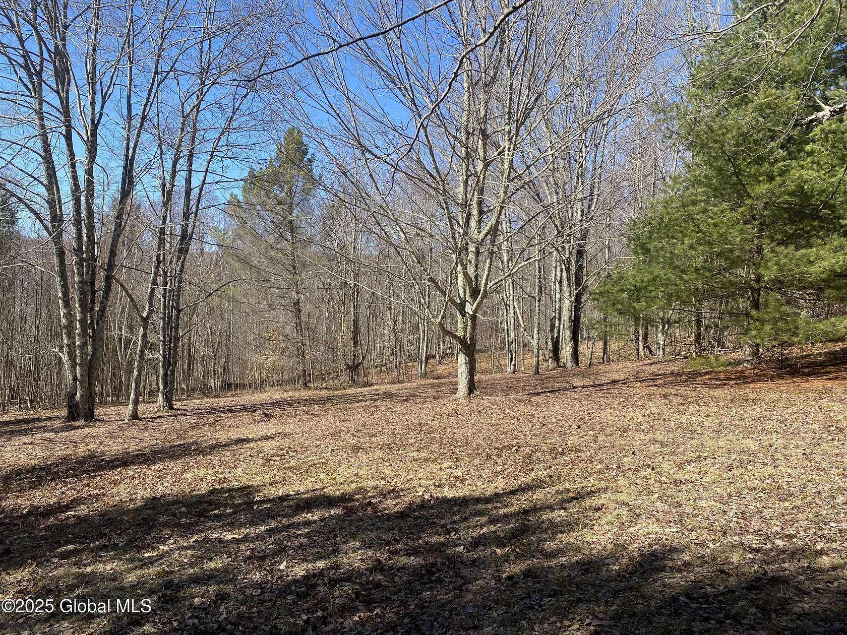 5.36 Acres of Residential Land for Sale in Andes, New York