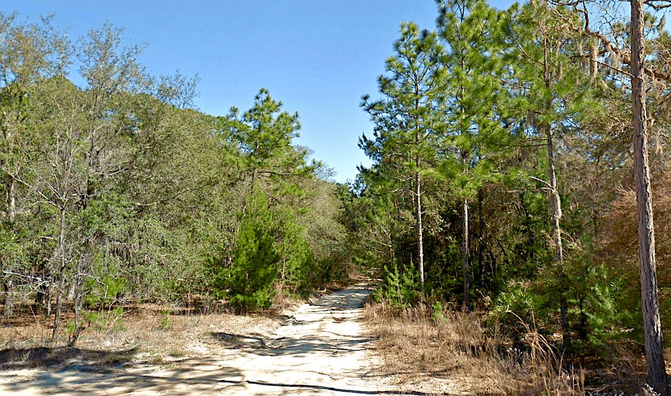 0.2 Acres of Residential Land for Sale in Interlachen, Florida