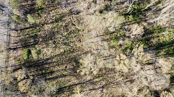 5 Acres of Residential Land for Sale in Jackson, Mississippi