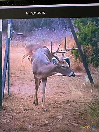 48.1 Acres of Land for Sale in Lometa, Texas