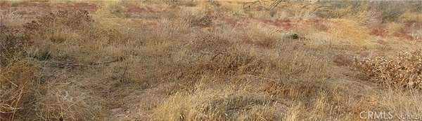 237 Acres of Agricultural Land for Sale in Lost Hills, California