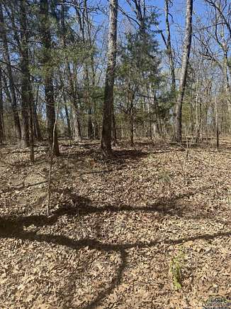 0.22 Acres of Residential Land for Sale in Mount Vernon, Texas