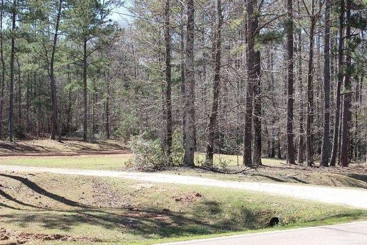 3 Acres of Residential Land for Sale in Opelika, Alabama