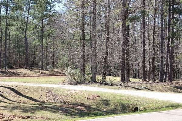 3 Acres of Residential Land for Sale in Opelika, Alabama