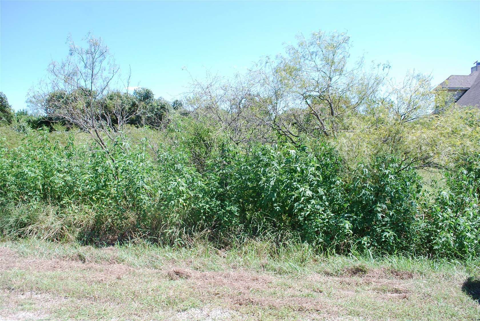 0.26 Acres of Residential Land for Sale in Whitney, Texas
