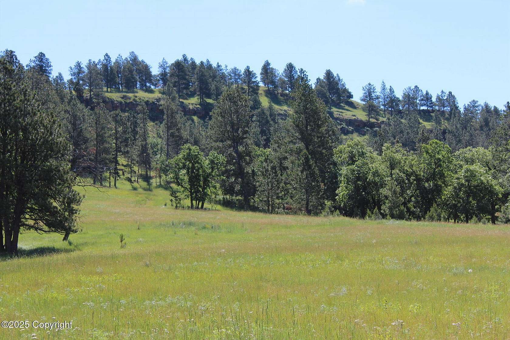 53 Acres of Recreational & Residential Land for Sale in Hulett, Wyoming