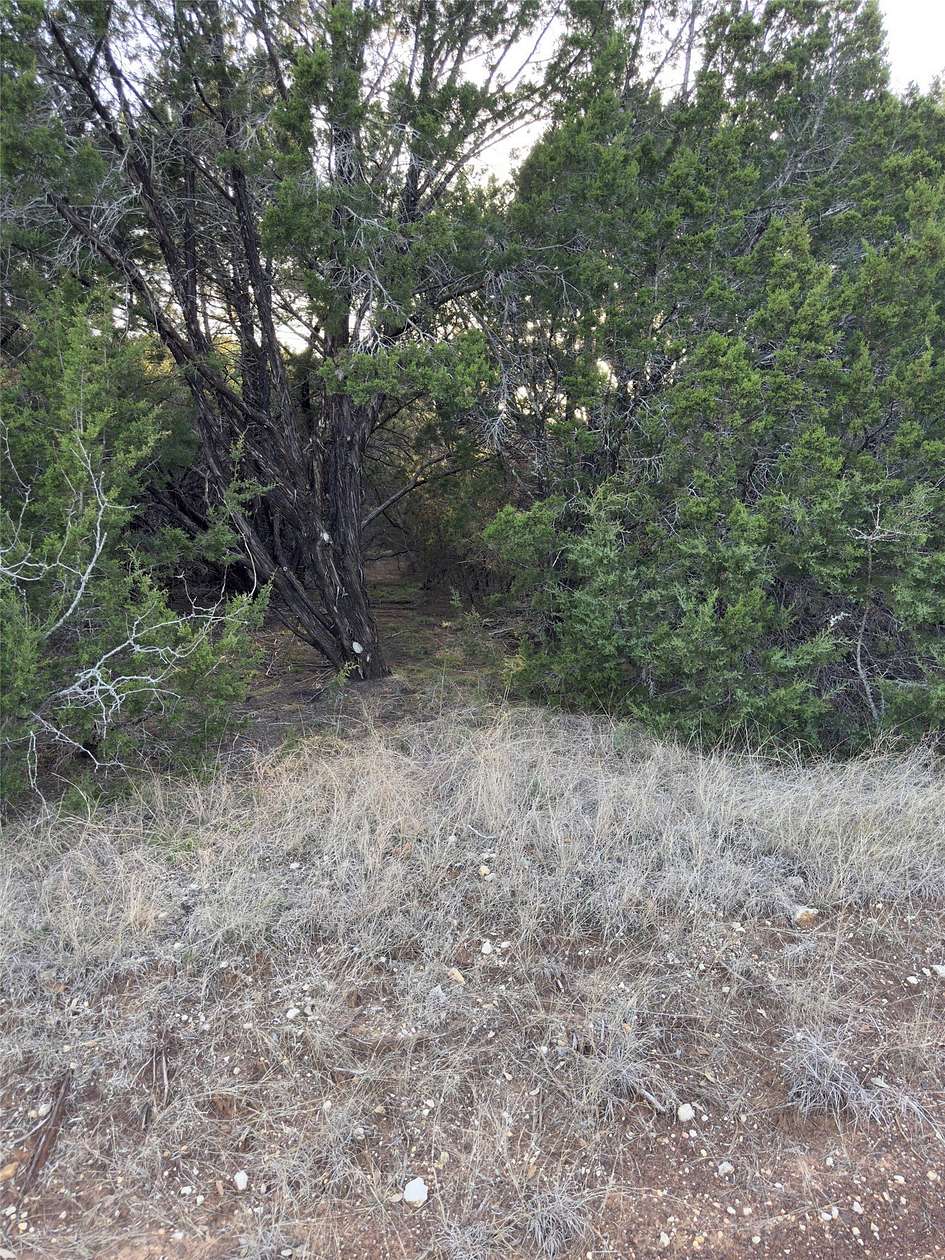 0.26 Acres of Residential Land for Sale in Whitney, Texas