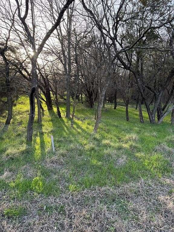 0.35 Acres of Land for Sale in Whitney, Texas