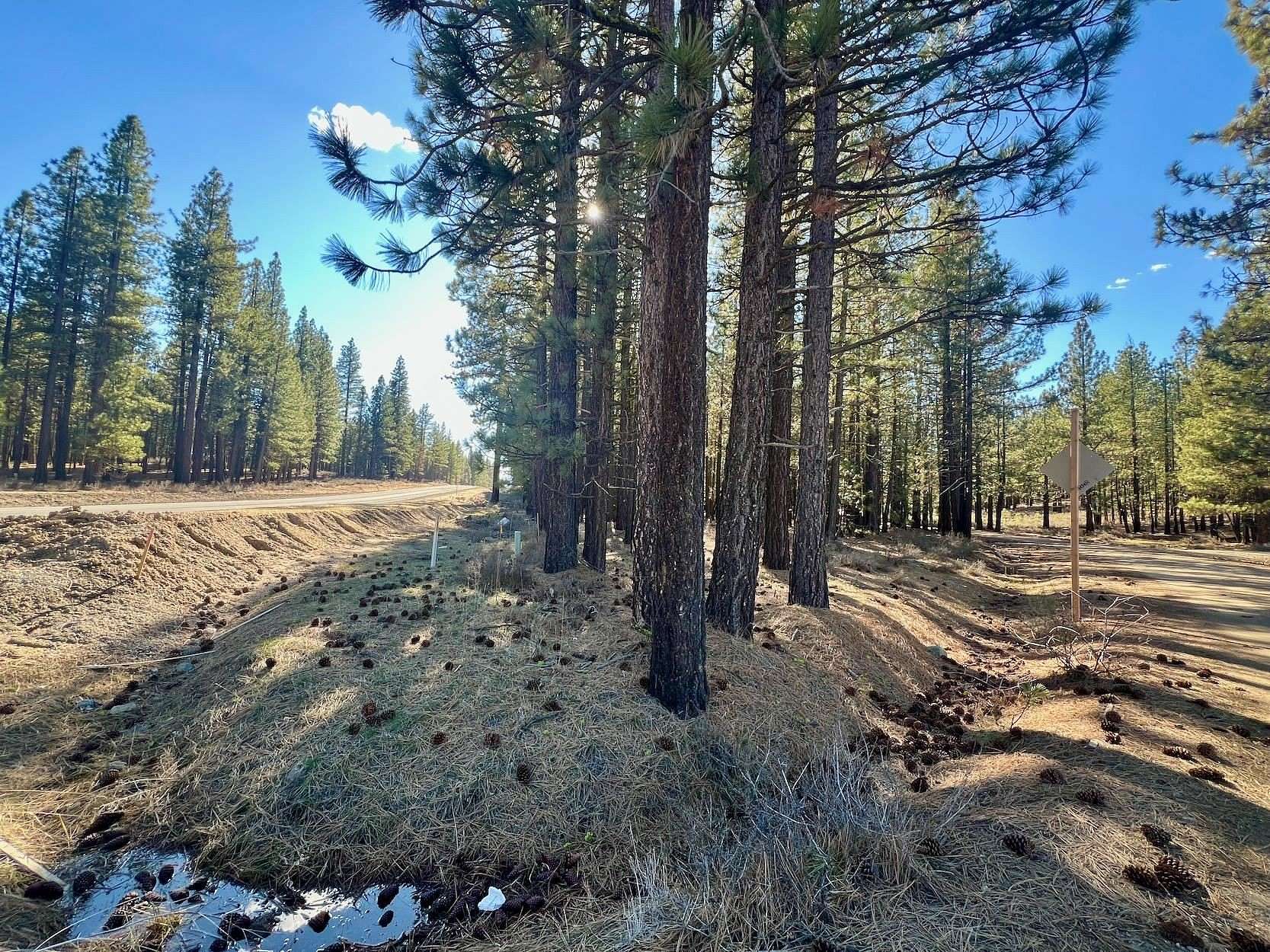 2 Acres of Land for Sale in Delleker, California