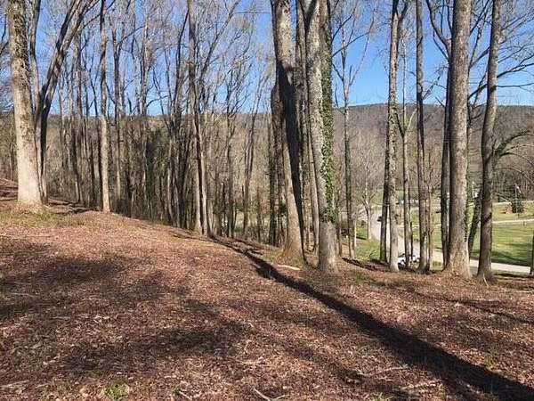 18.3 Acres of Land for Sale in Soddy-Daisy, Tennessee