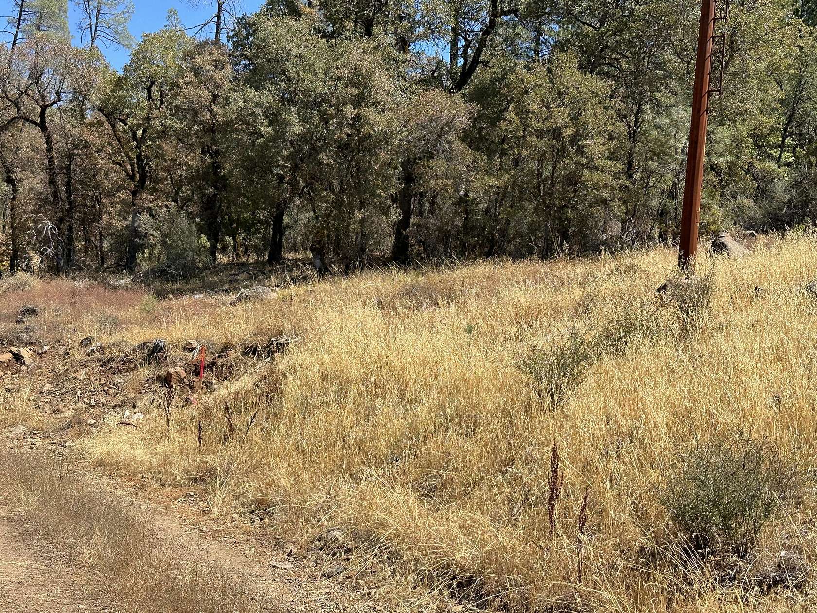 38.7 Acres of Land for Sale in Oak Run, California