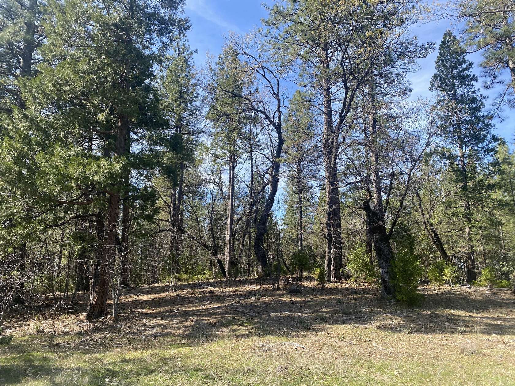 38.7 Acres of Land for Sale in Oak Run, California