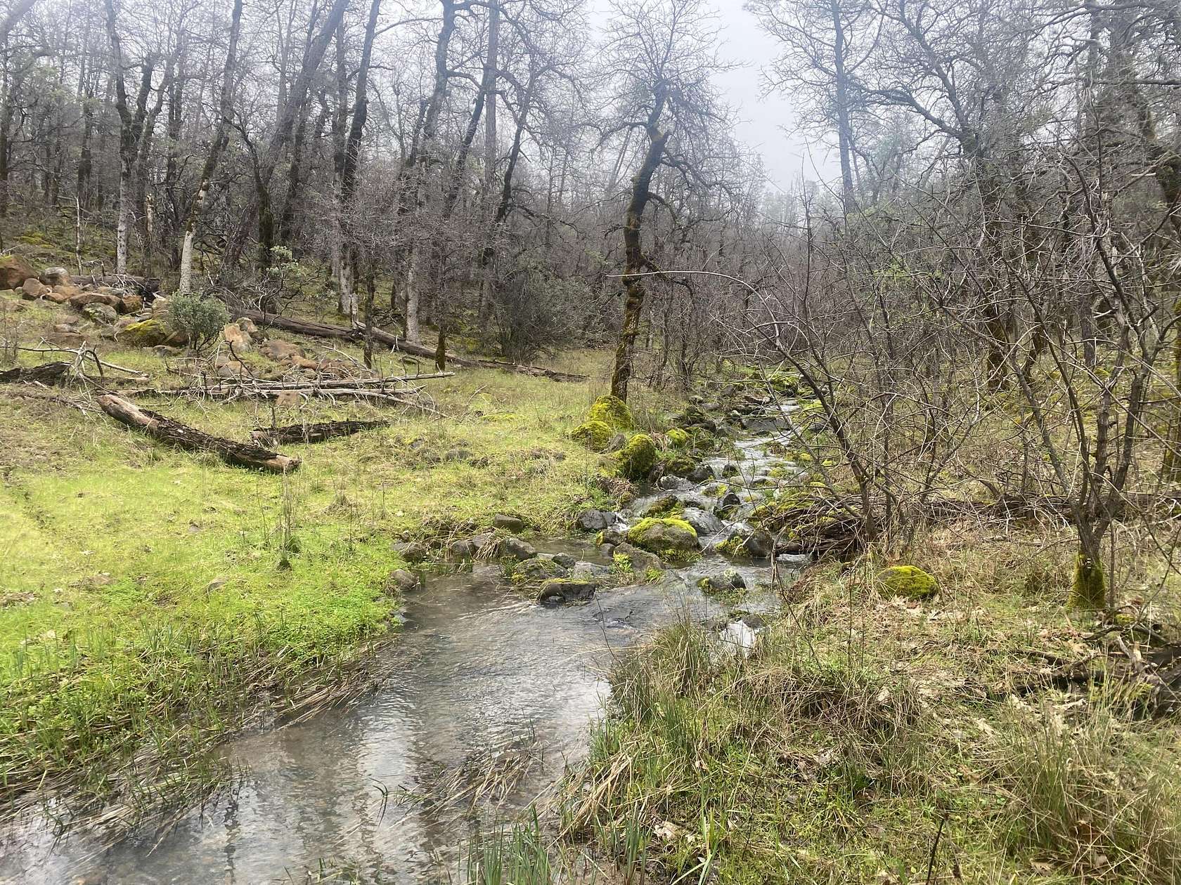 38.7 Acres of Land for Sale in Oak Run, California