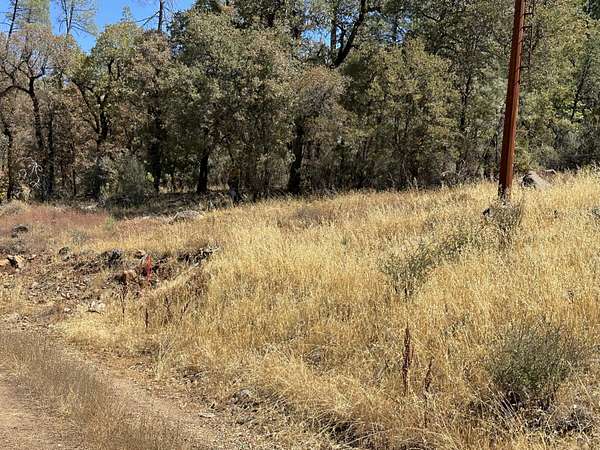 38.7 Acres of Land for Sale in Oak Run, California
