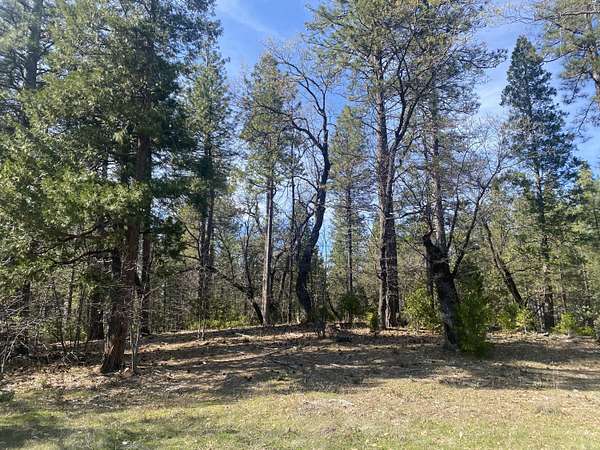 38.7 Acres of Land for Sale in Oak Run, California