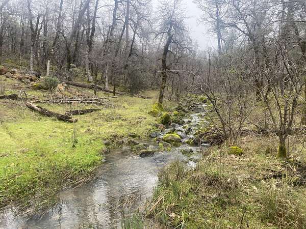 38.7 Acres of Land for Sale in Oak Run, California