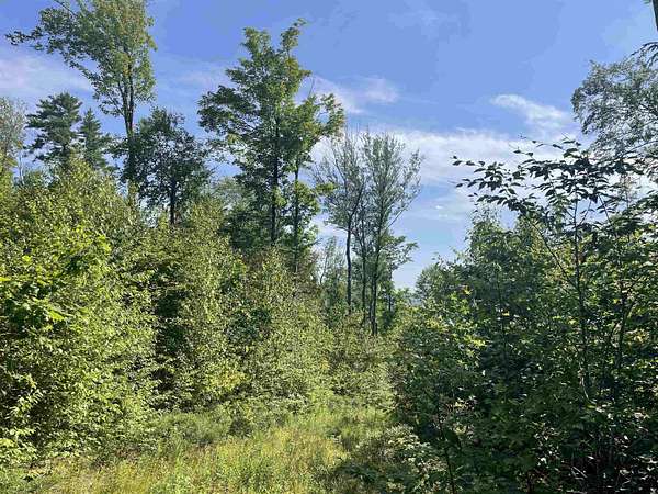 34.9 Acres of Recreational Land for Sale in Francestown, New Hampshire
