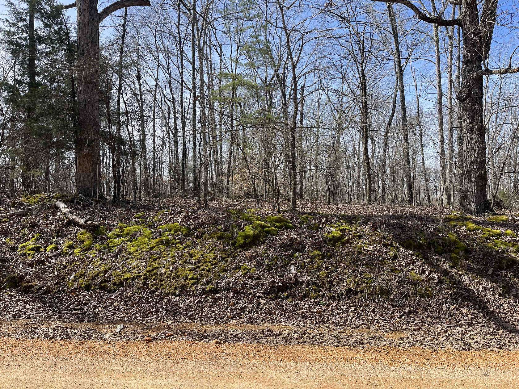 11 Acres of Land for Sale in Morris Chapel, Tennessee