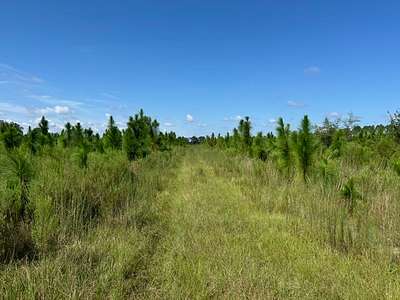240 Acres of Recreational Land & Farm for Sale in Fort White, Florida