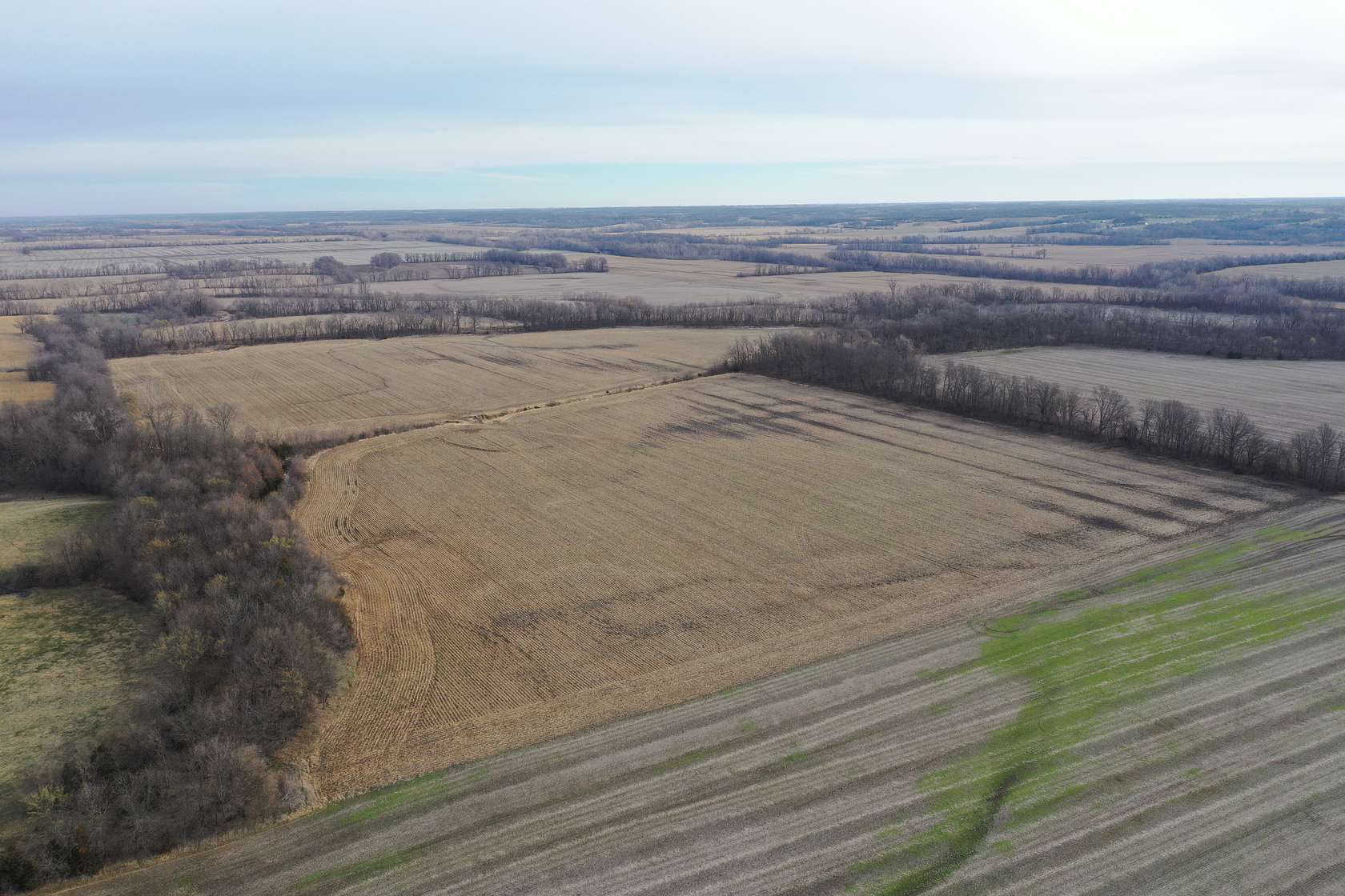 92 Acres of Recreational Land & Farm for Sale in Mount Moriah, Missouri