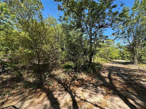 0.32 Acres of Residential Land for Sale in Kissimmee, Florida