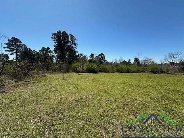 23.3 Acres of Recreational Land for Sale in Overton, Texas